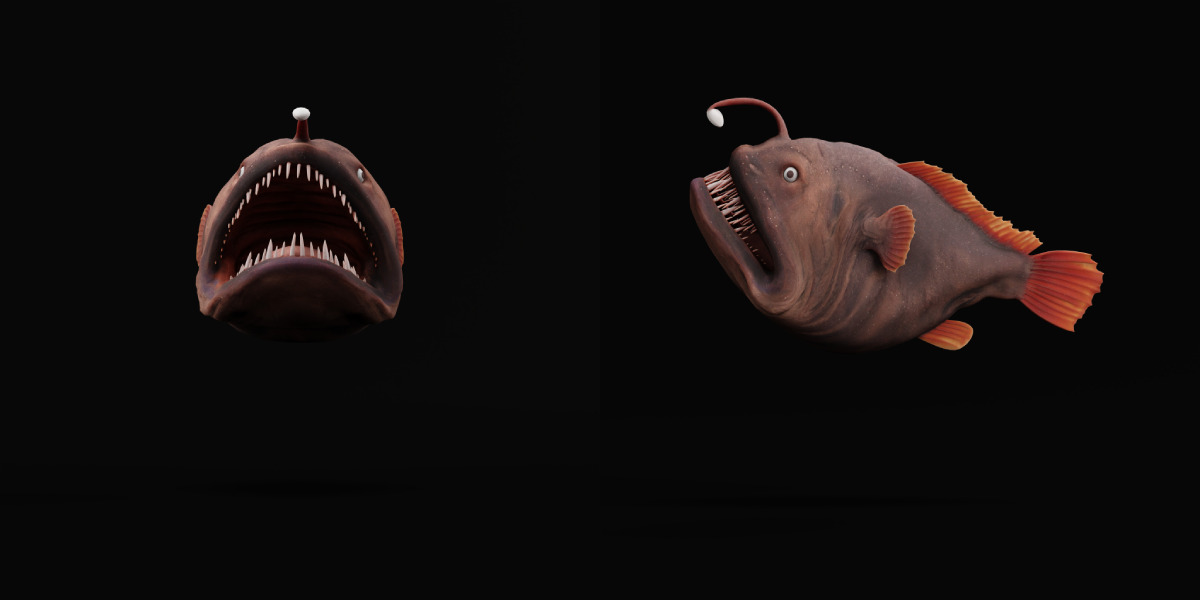 Angler Fish Low-poly 3D model_34