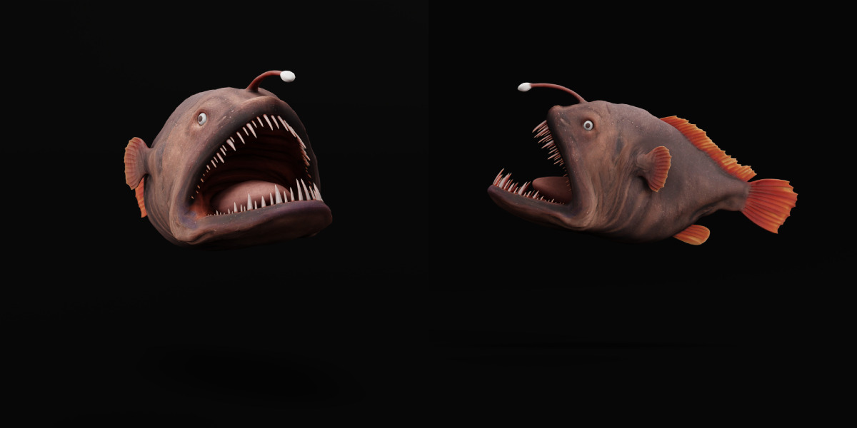 Angler Fish Low-poly 3D model_16