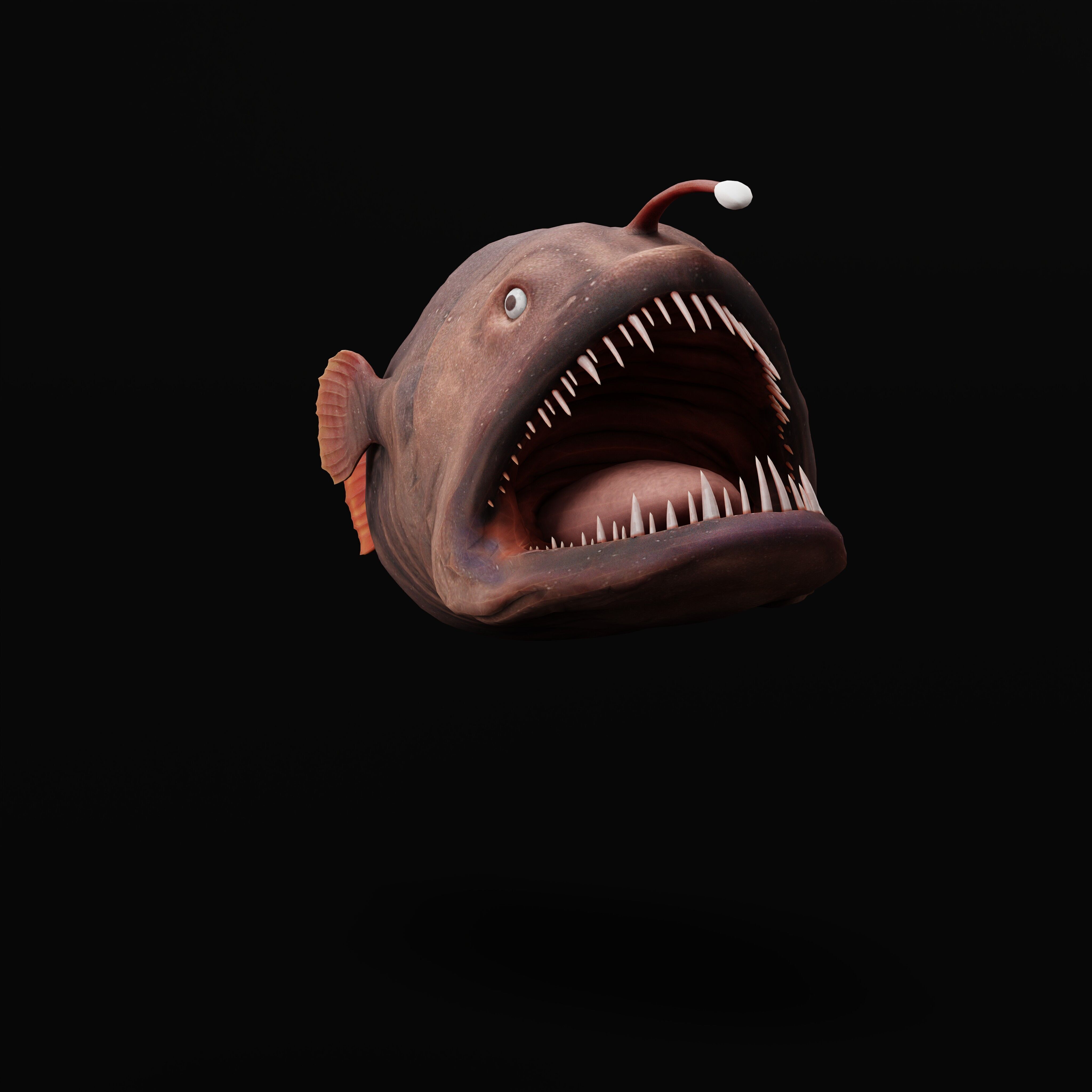 Angler Fish Low-poly 3D model_39