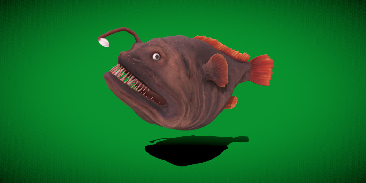 Angler Fish Low-poly 3D model_37