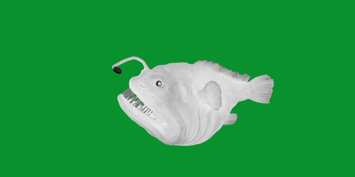 Angler Fish Low-poly 3D model_13