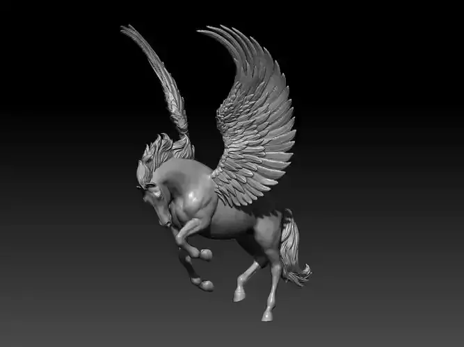 Pegasus poses 06