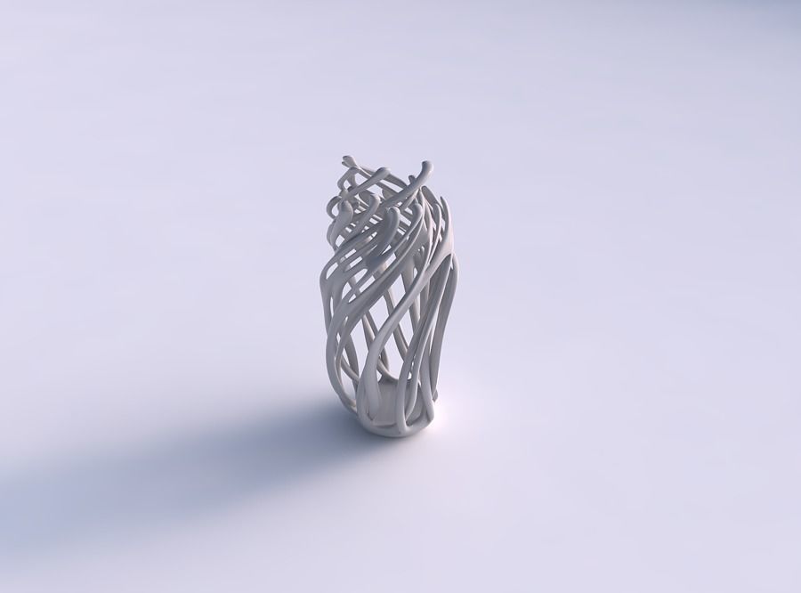 Vase deformed 2 tall with twisted branches eccentric 3D print model_0