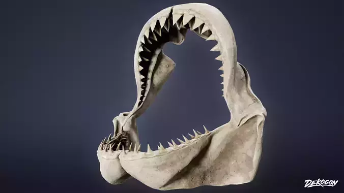 BONES - Bone Set 05 - LOW POLY