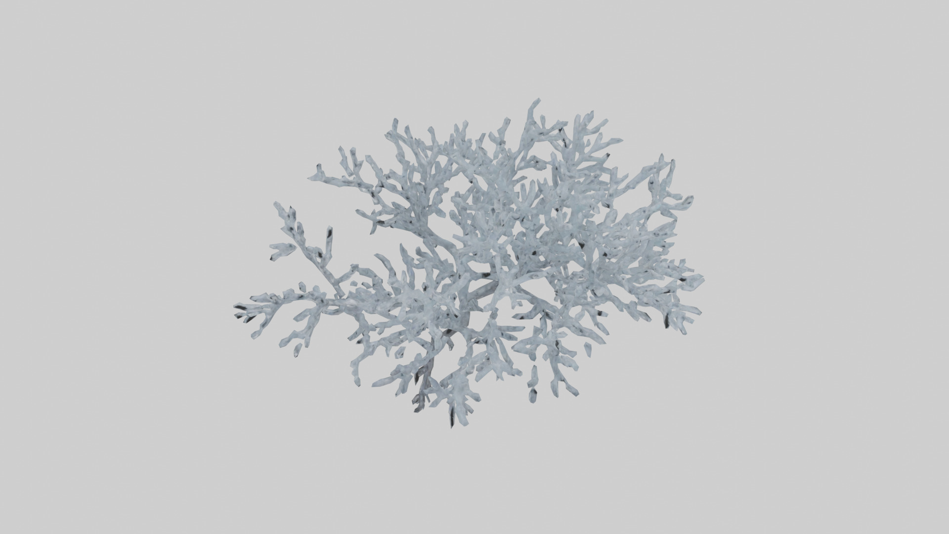 Icecovered Branches model Low-poly 3D model_16