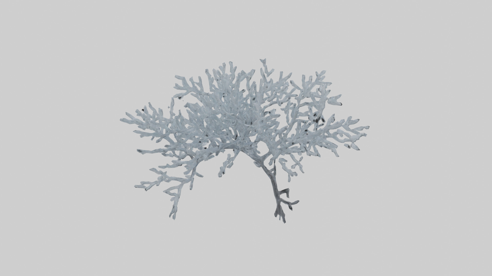 Icecovered Branches model Low-poly 3D model_2