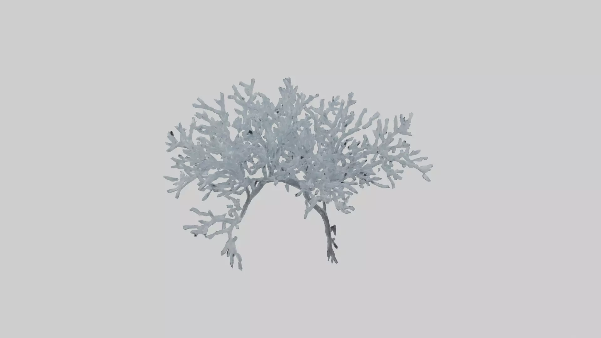 Icecovered Branches model Low-poly 3D model_0