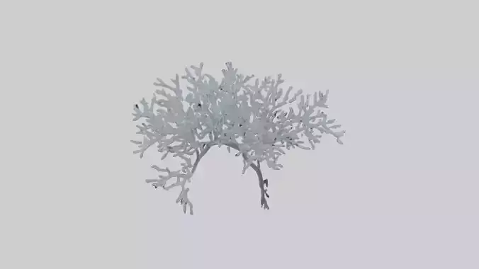 Icecovered Branches model