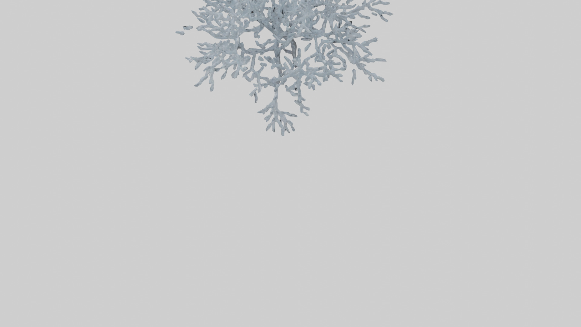 Icecovered Branches model Low-poly 3D model_3