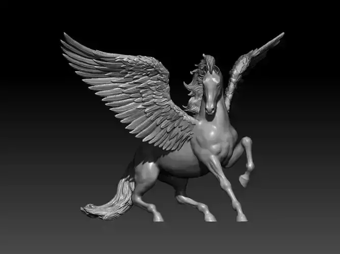 Pegasus poses 10
