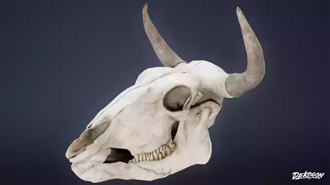 BONES - Bone Set 07 - LOW POLY