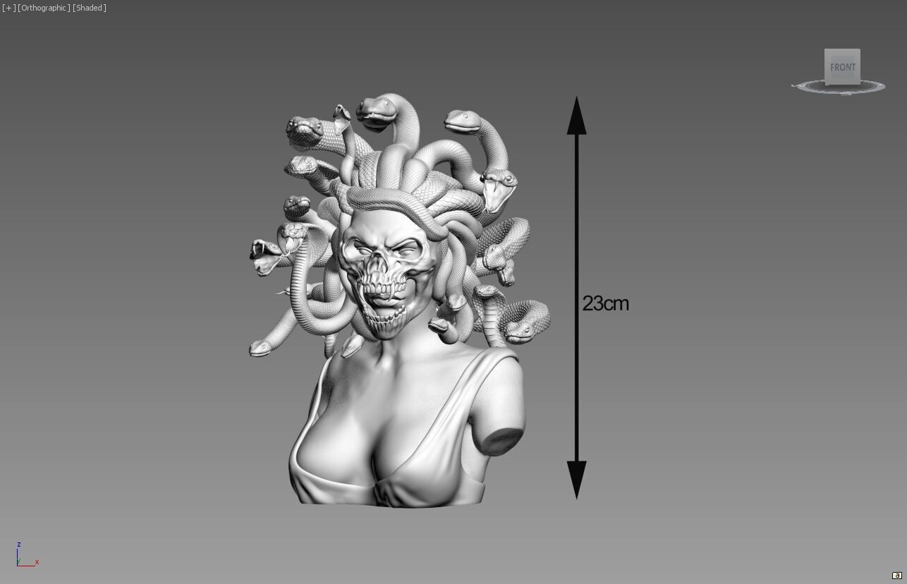 Medusa skull mask 3D print model_4