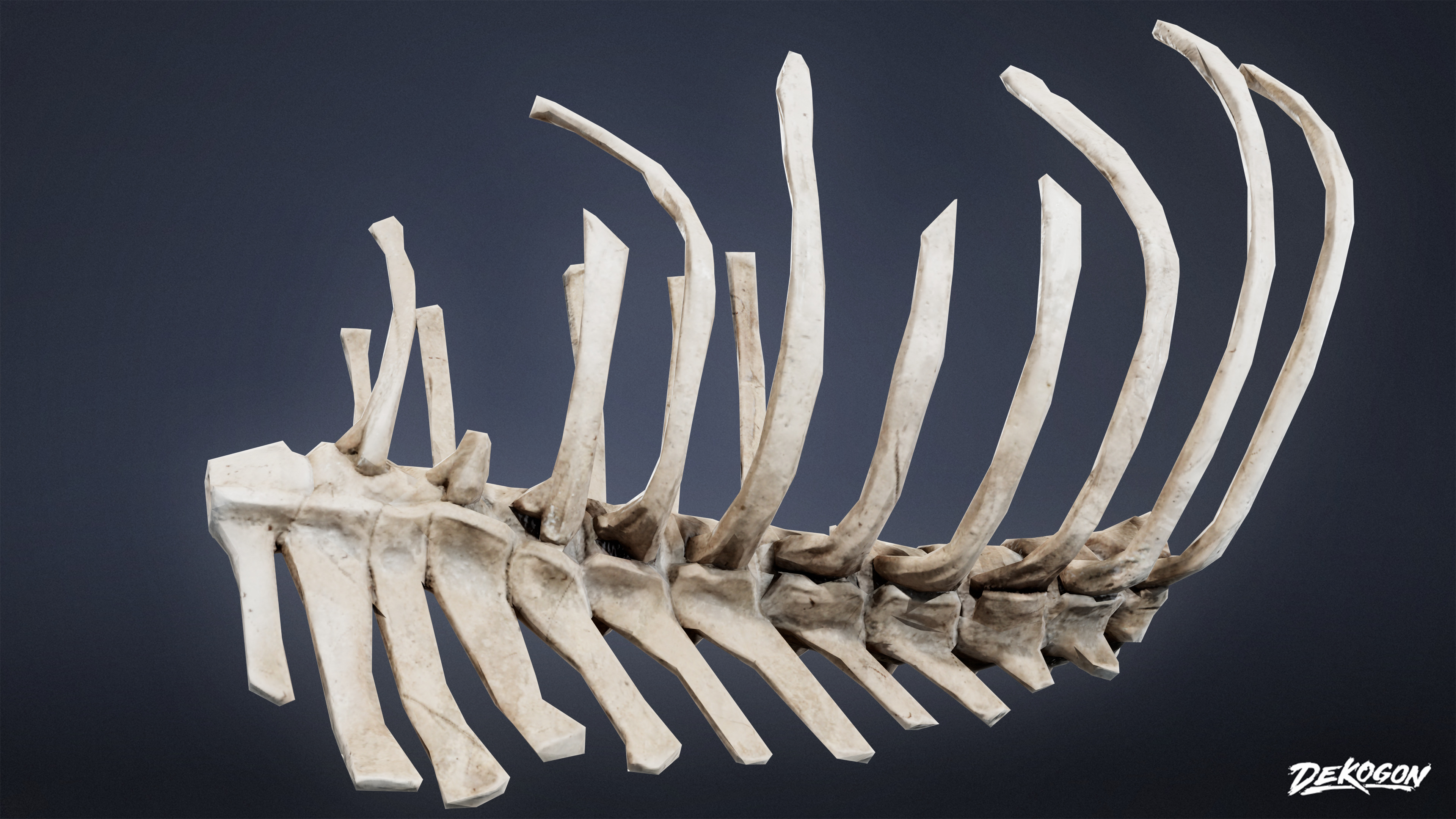 BONES - Dog Ribs 02 - NANITE Low-poly 3D model_2