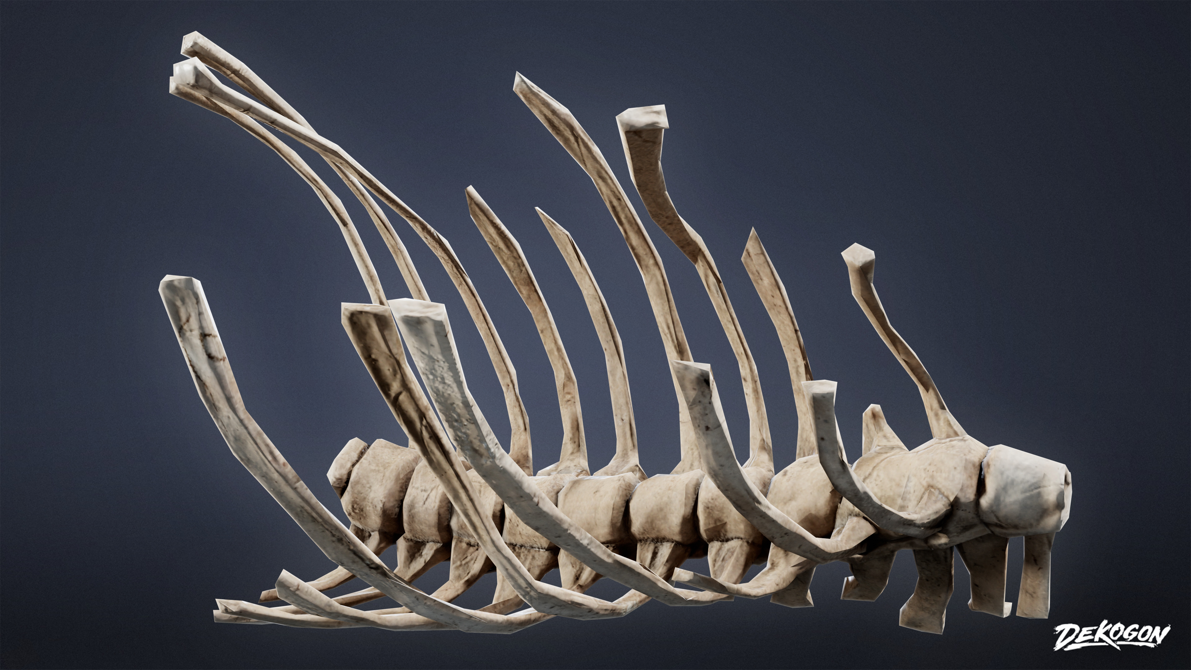 BONES - Dog Ribs 02 - NANITE Low-poly 3D model_1