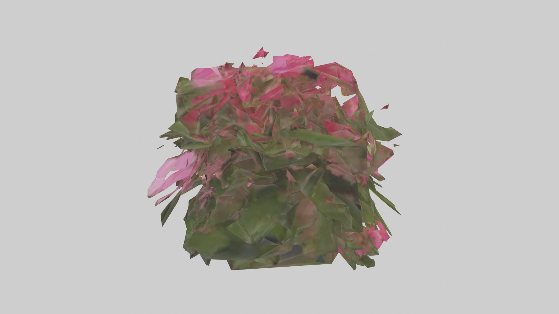 Impatiens model Low-poly 3D model_12
