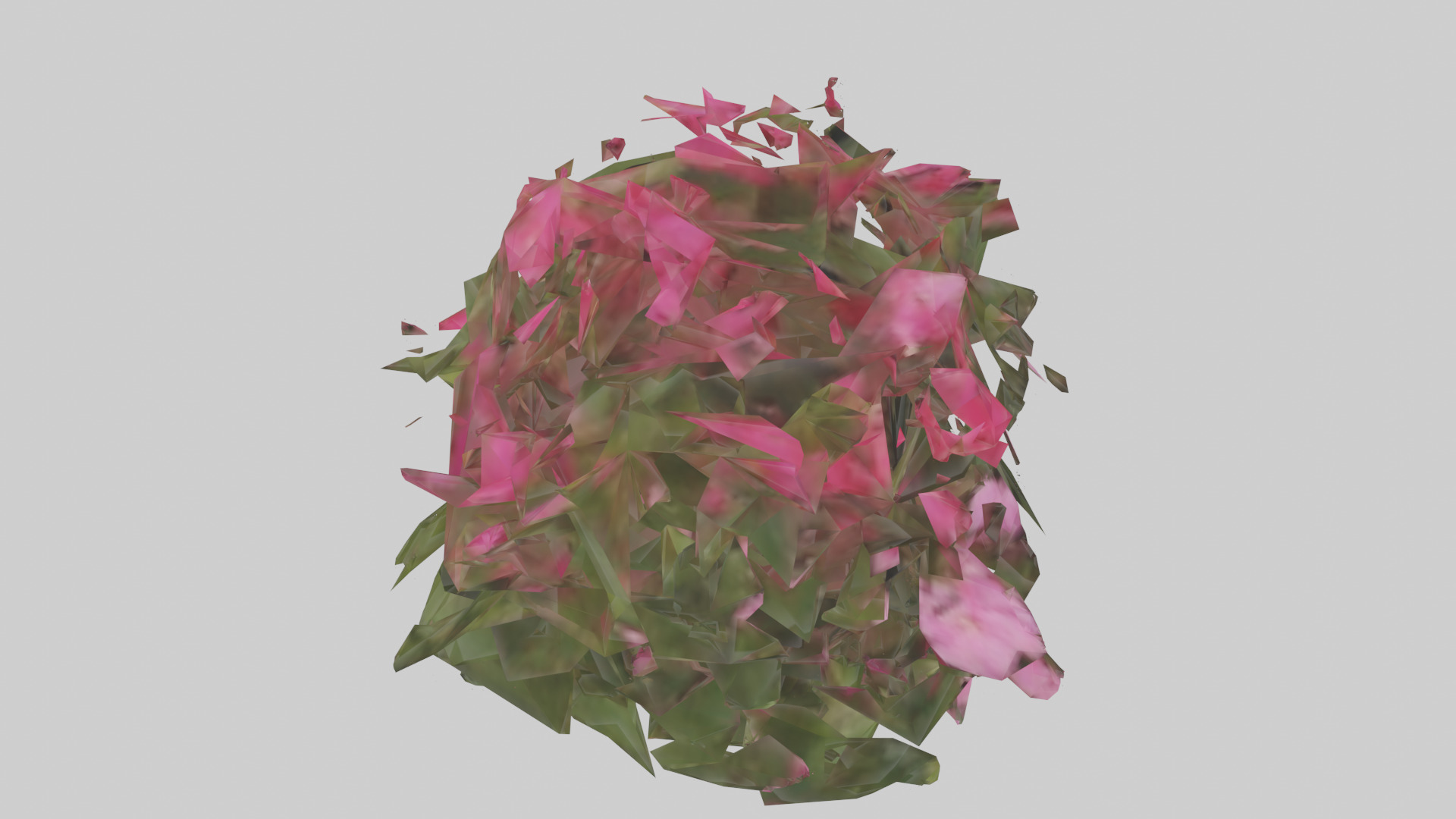Impatiens model Low-poly 3D model_18