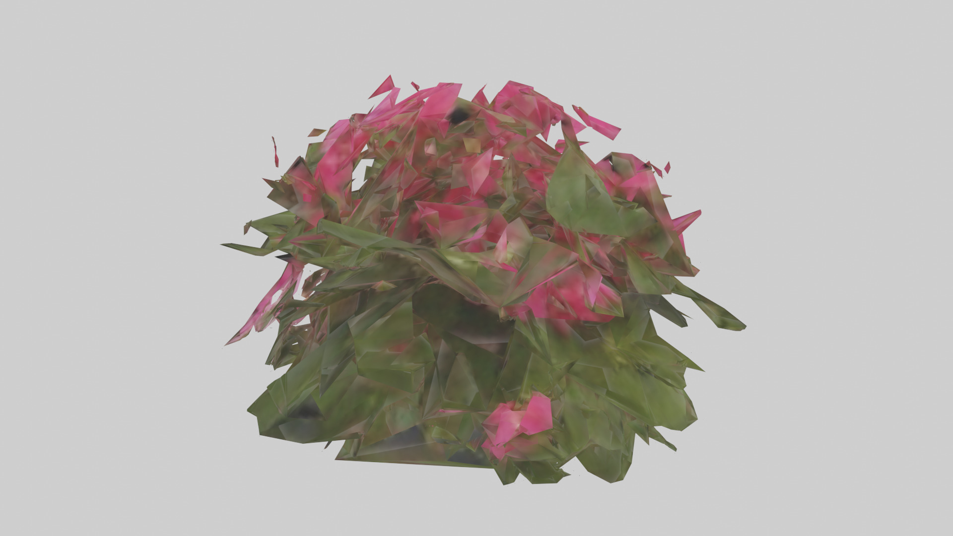 Impatiens model Low-poly 3D model_1