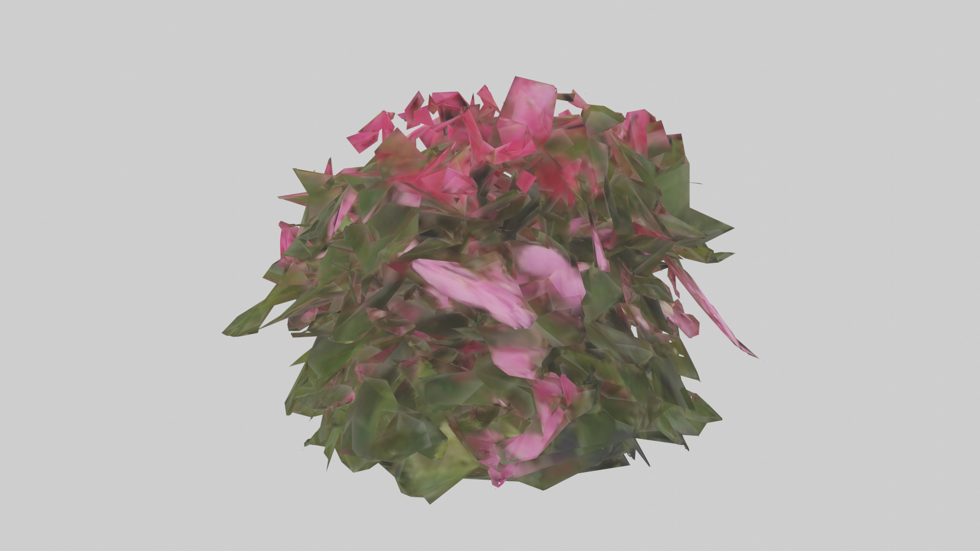 Impatiens model Low-poly 3D model_11