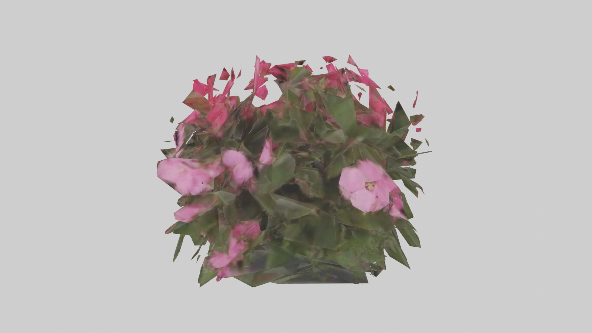 Impatiens model Low-poly 3D model_9