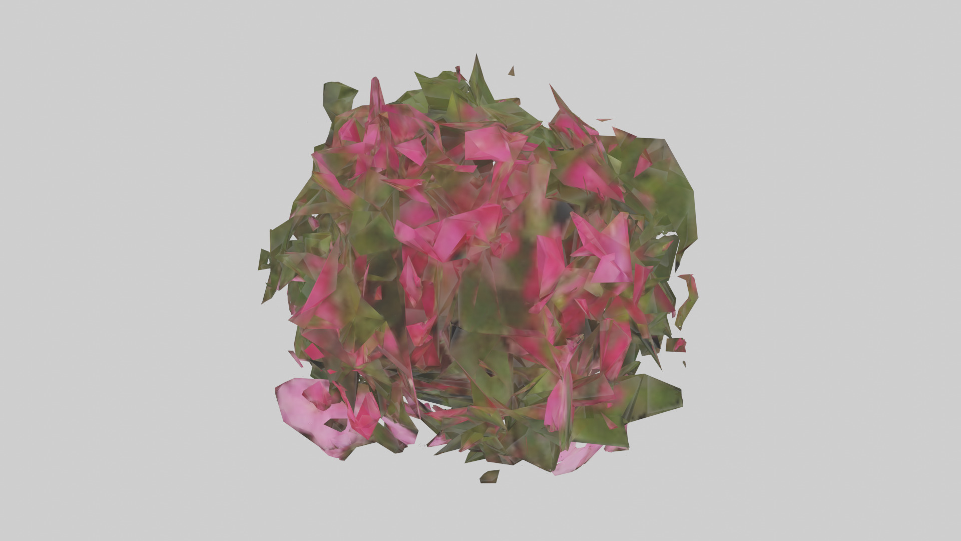 Impatiens model Low-poly 3D model_14