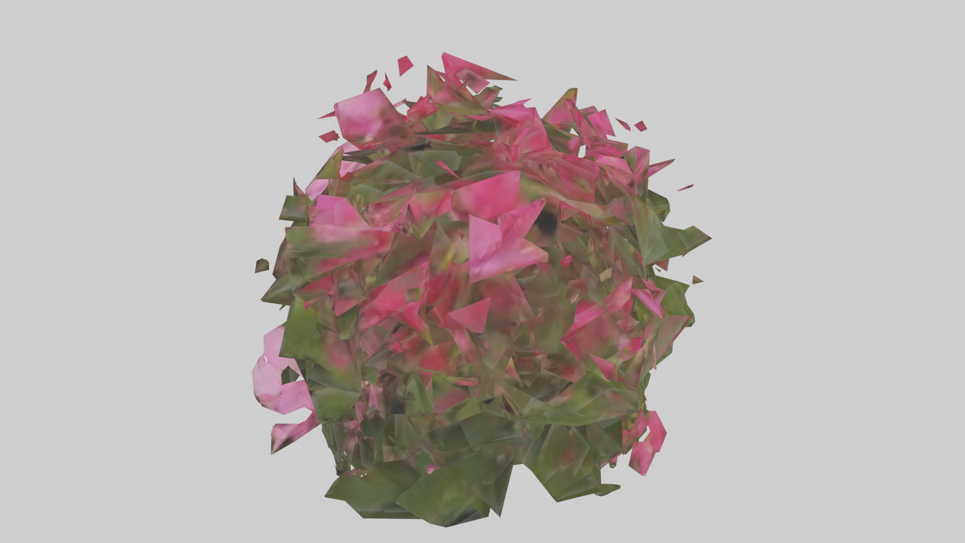 Impatiens model Low-poly 3D model_17