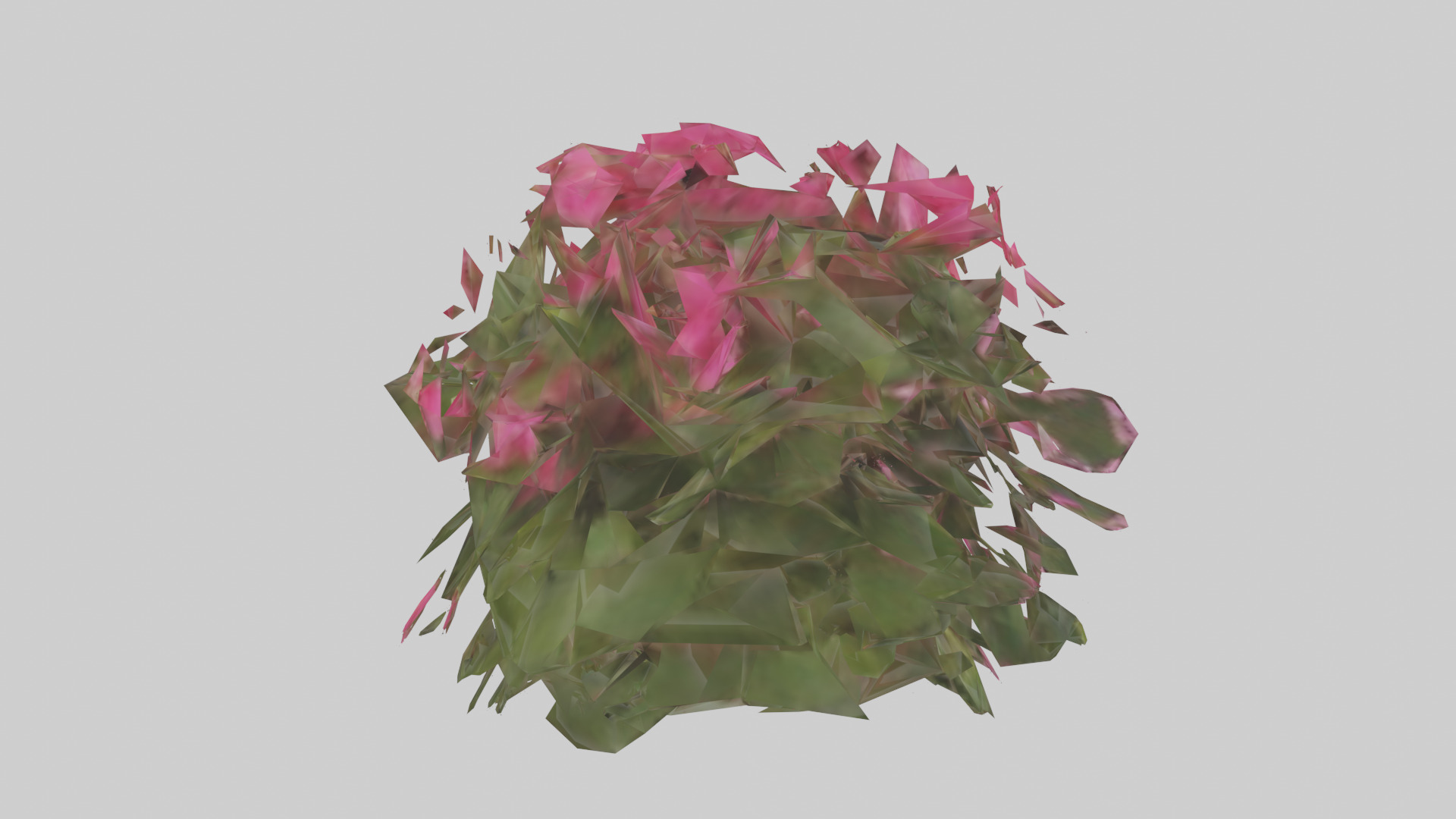 Impatiens model Low-poly 3D model_2