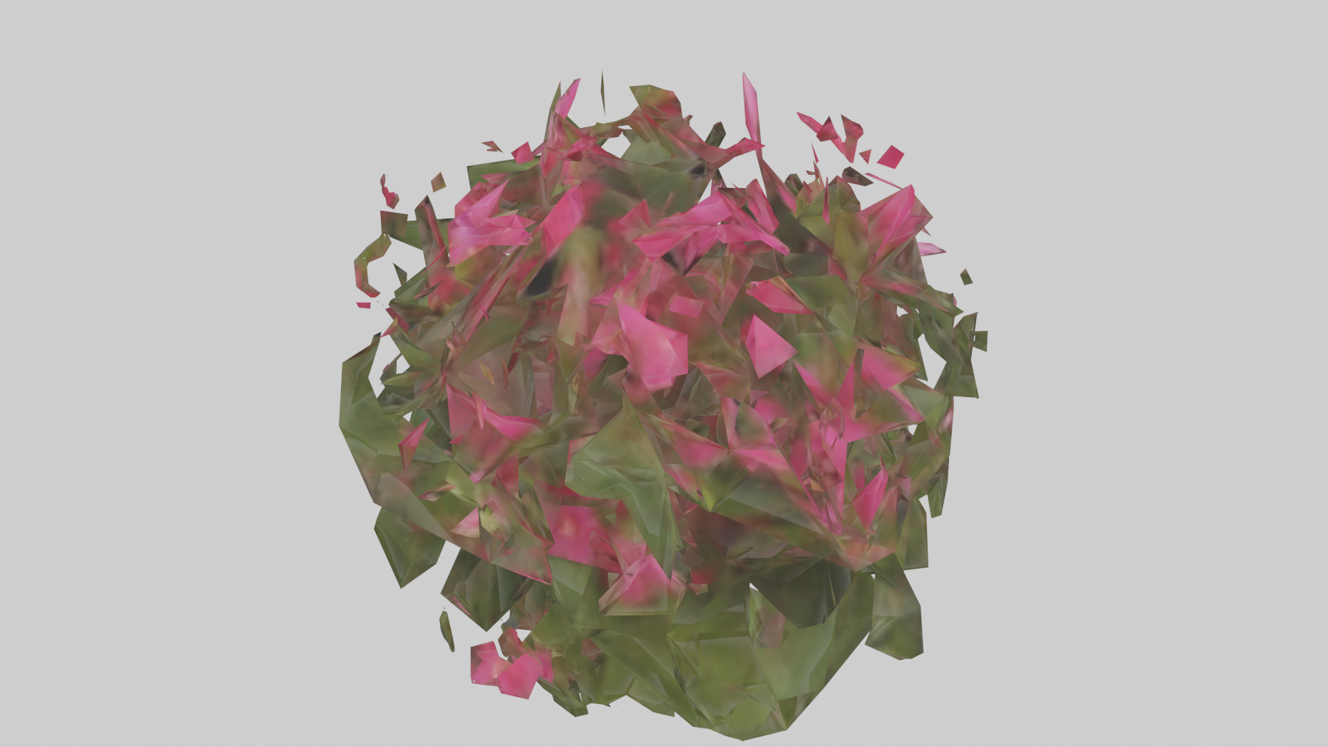 Impatiens model Low-poly 3D model_15