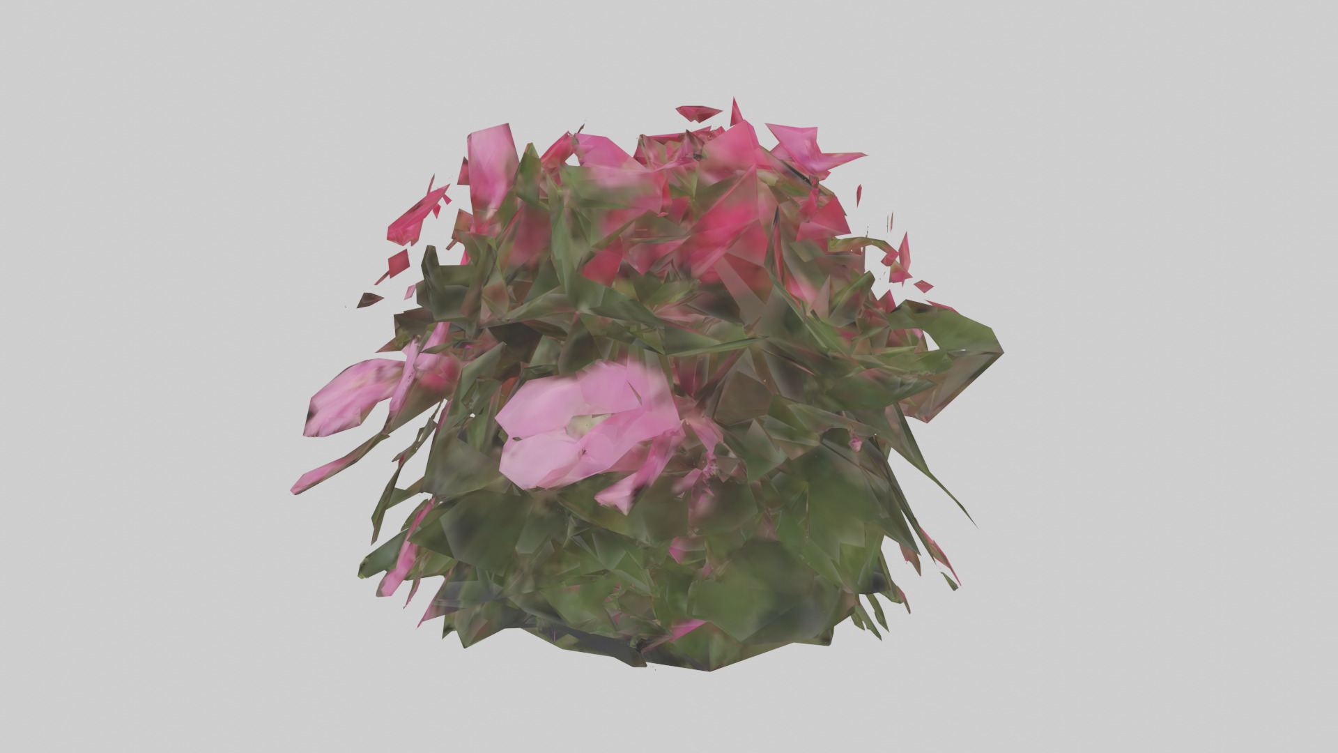 Impatiens model Low-poly 3D model_8