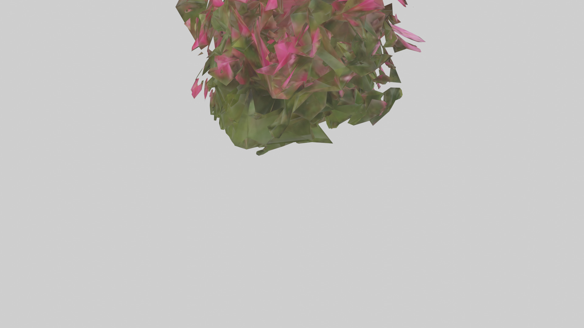 Impatiens model Low-poly 3D model_4