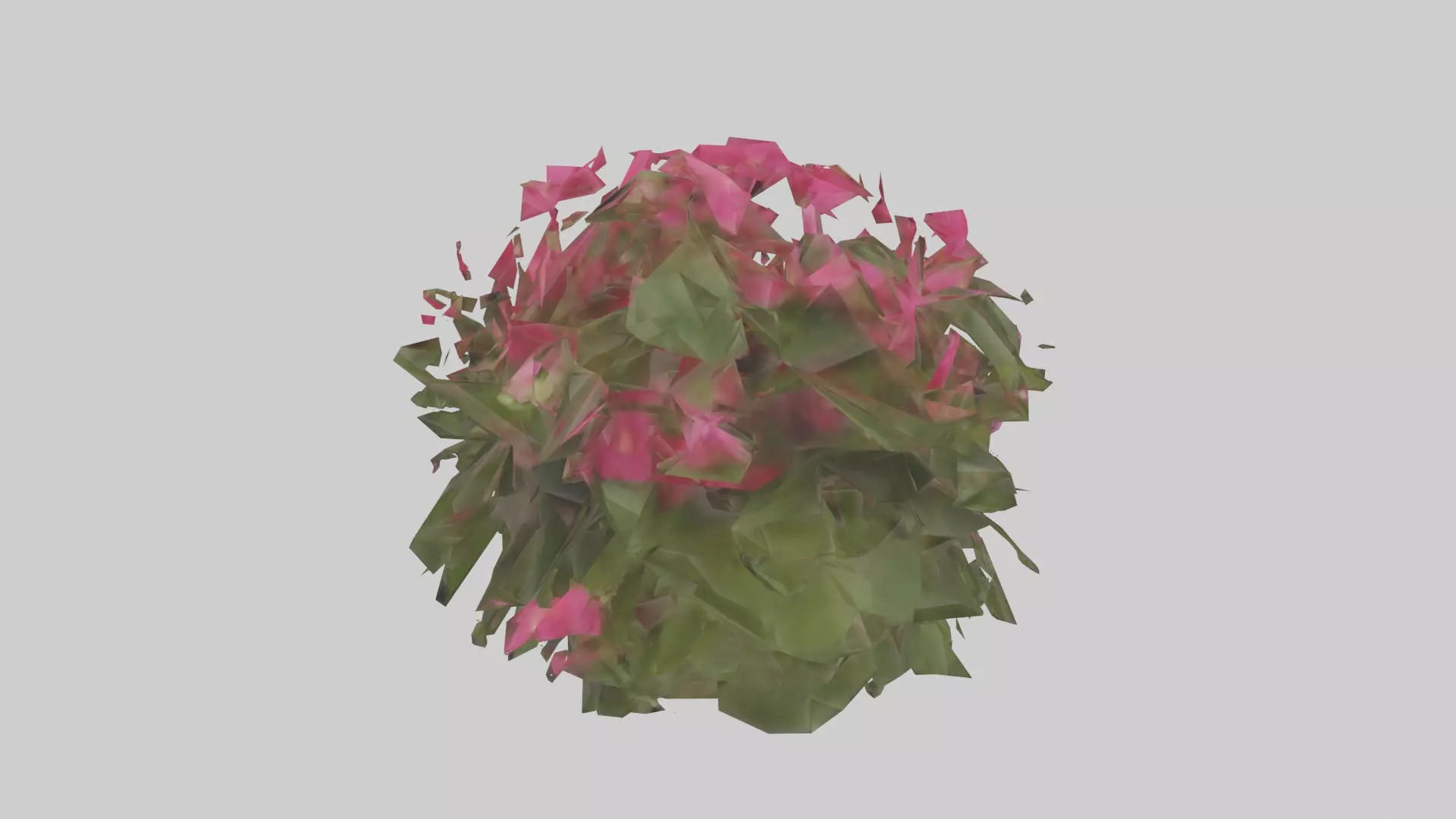 Impatiens model Low-poly 3D model_0