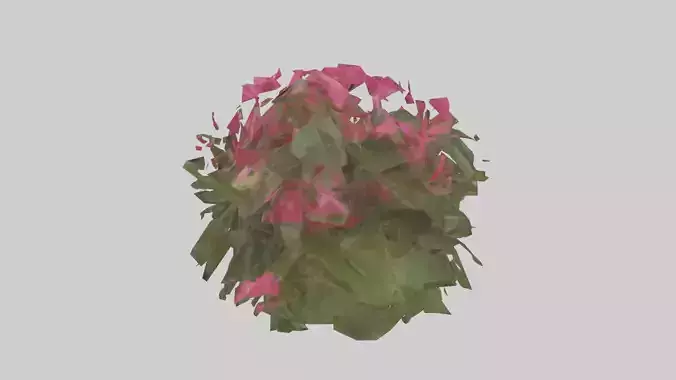 Impatiens model