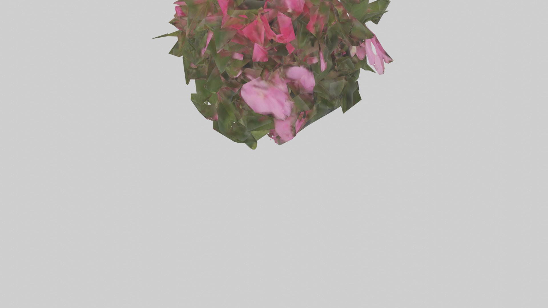 Impatiens model Low-poly 3D model_6