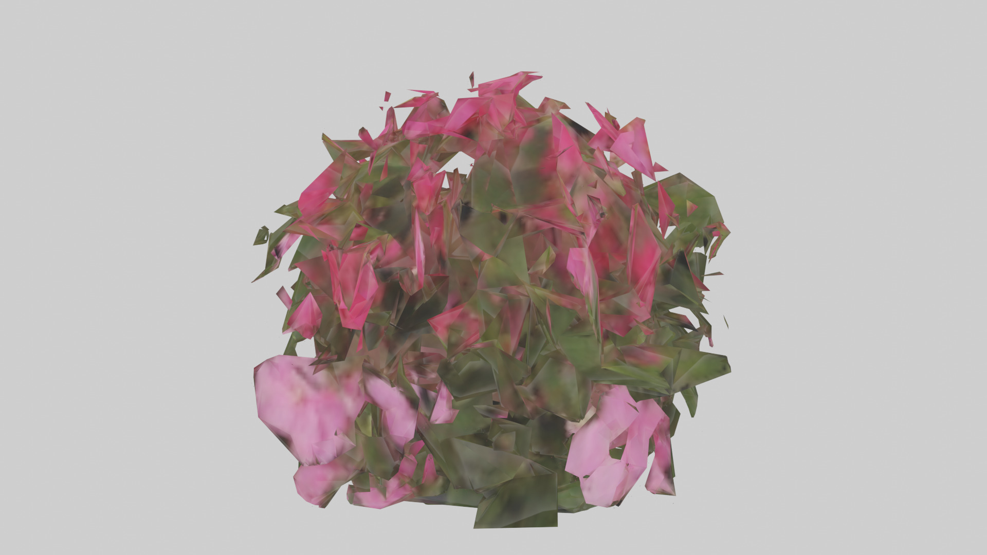 Impatiens model Low-poly 3D model_16