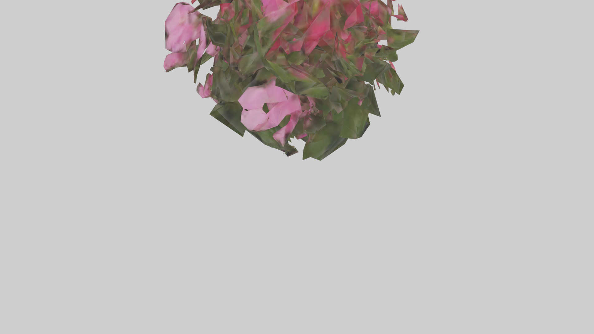 Impatiens model Low-poly 3D model_5