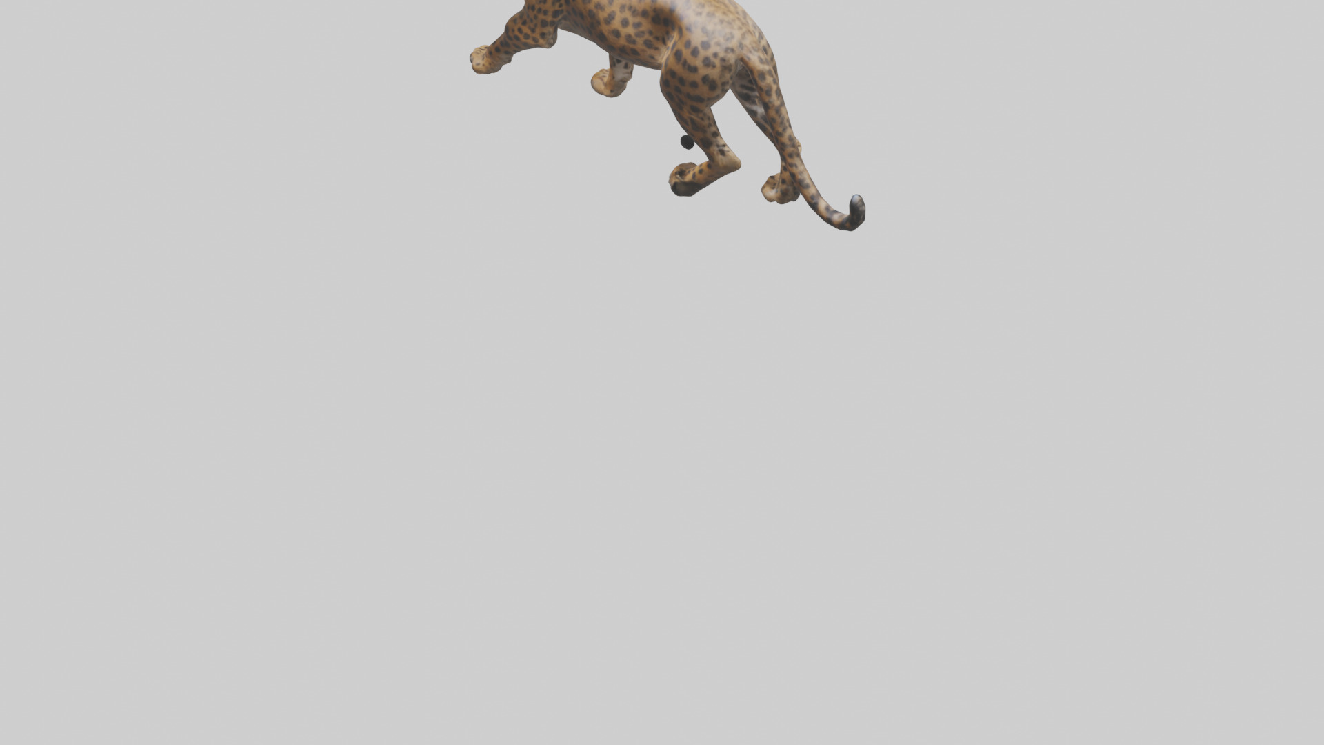 Indian Leopard stalking model Low-poly 3D model_4