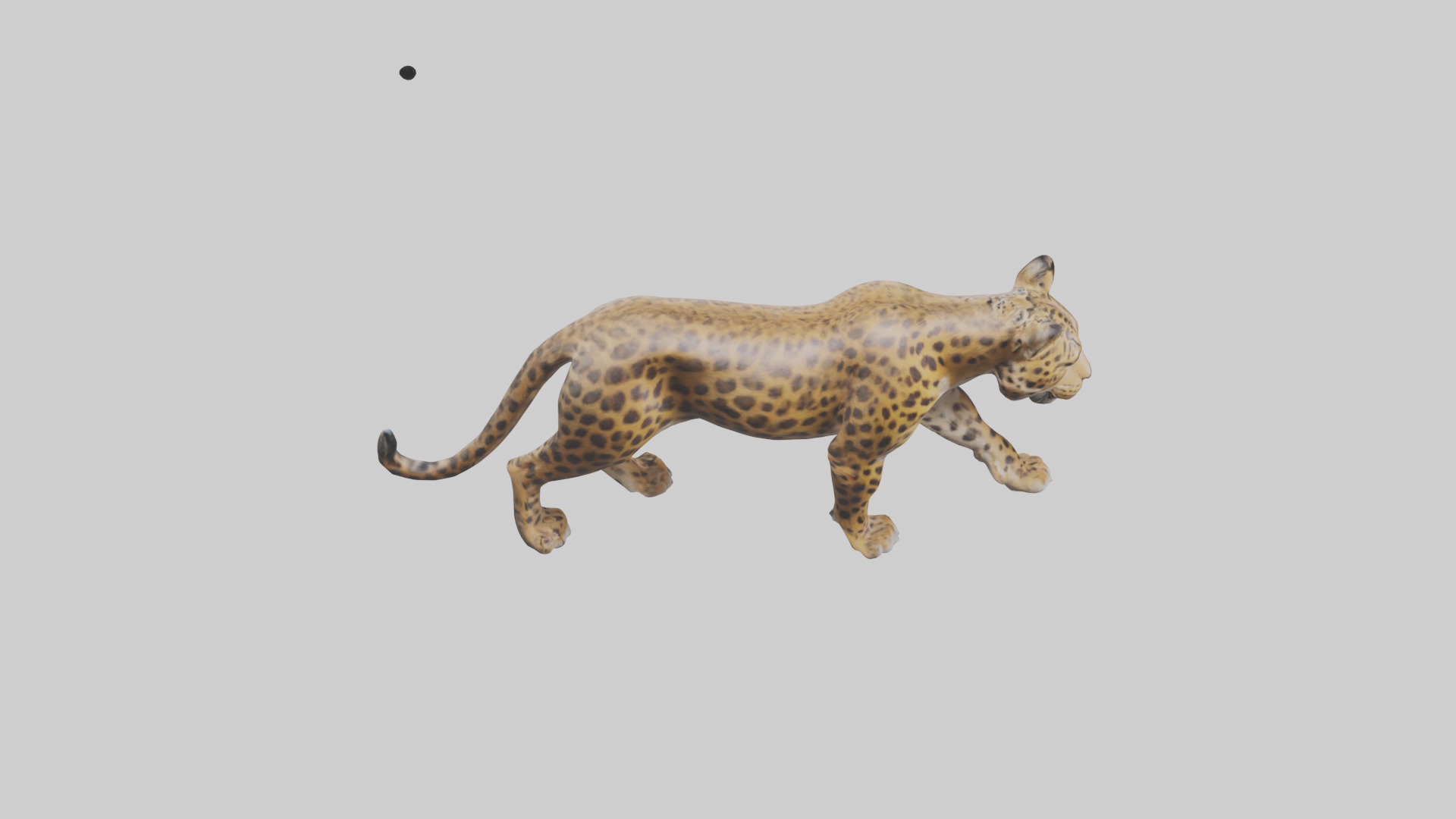 Indian Leopard stalking model Low-poly 3D model_18