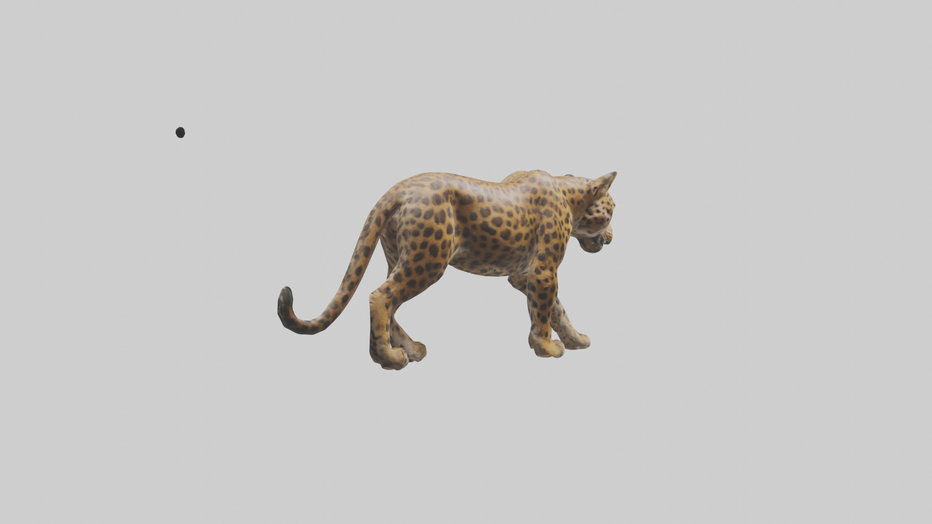 Indian Leopard stalking model Low-poly 3D model_3