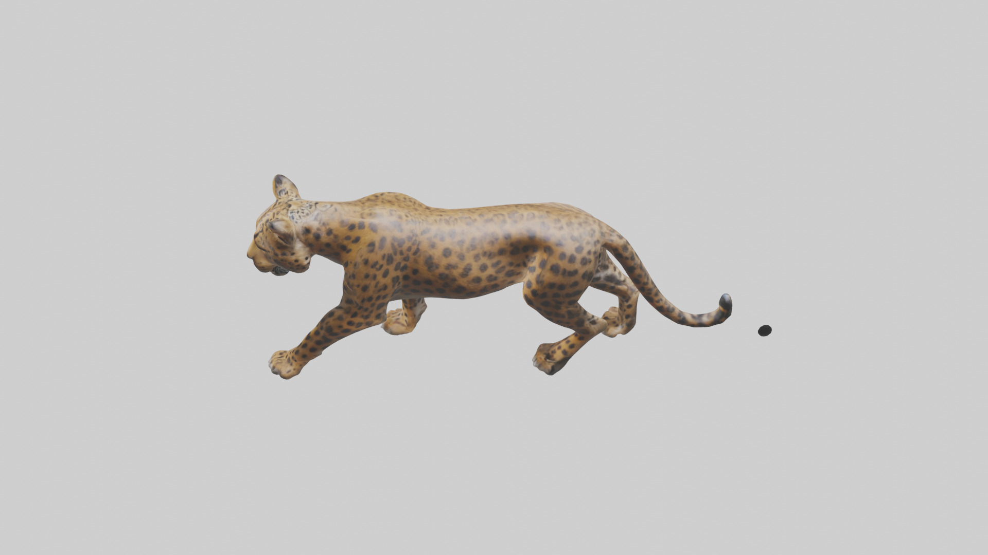 Indian Leopard stalking model Low-poly 3D model_17