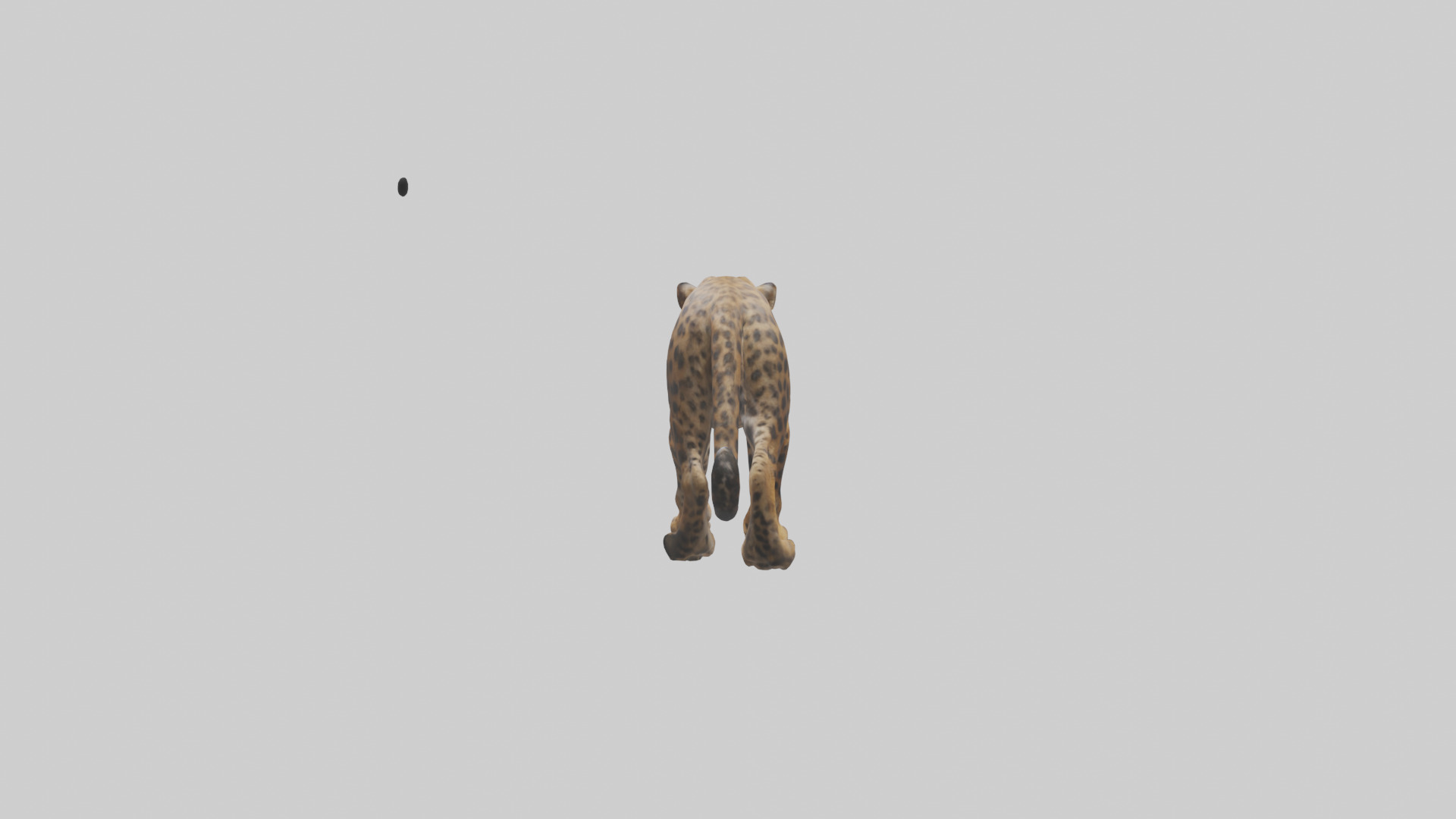Indian Leopard stalking model Low-poly 3D model_1