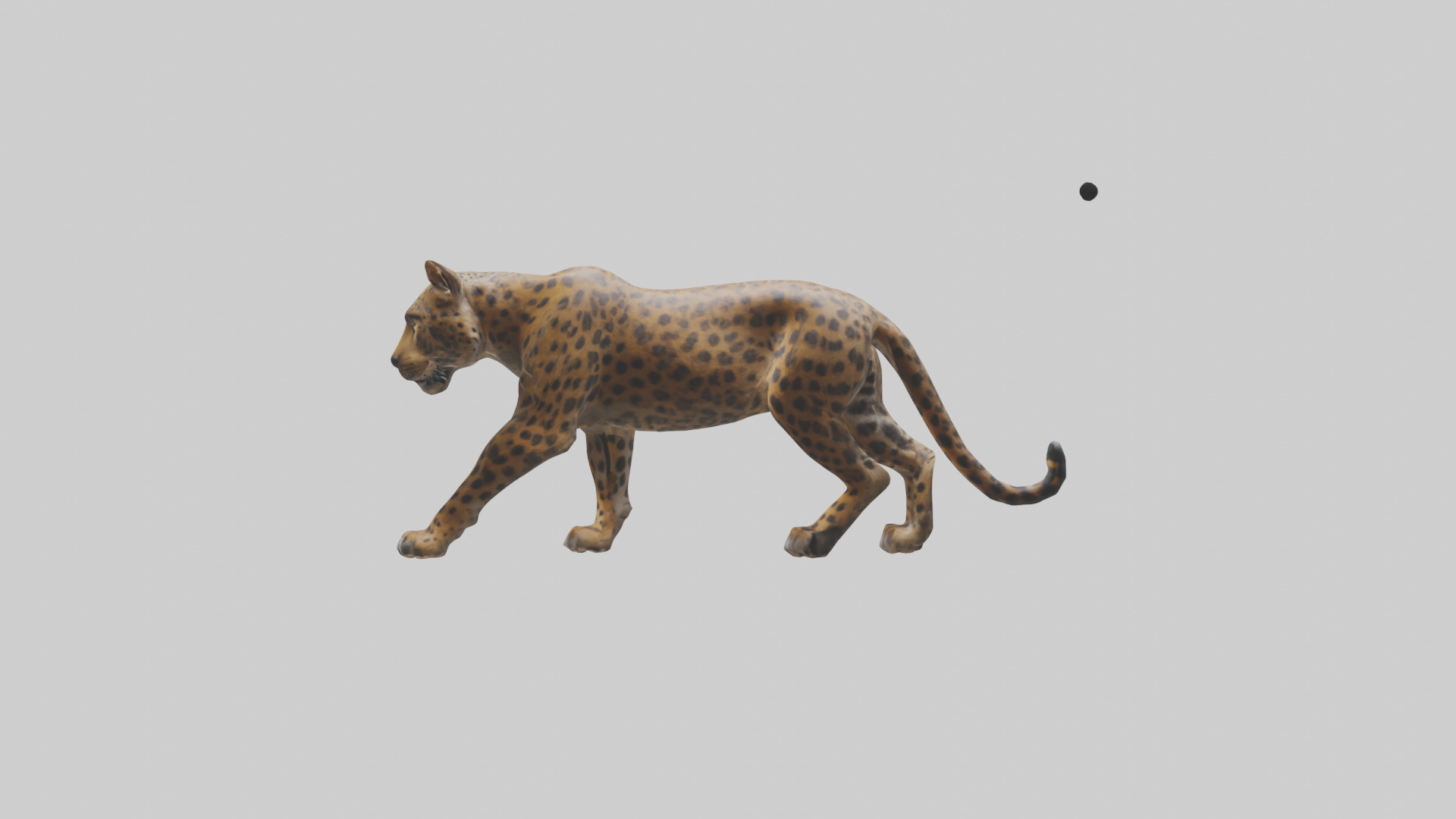 Indian Leopard stalking model Low-poly 3D model_12