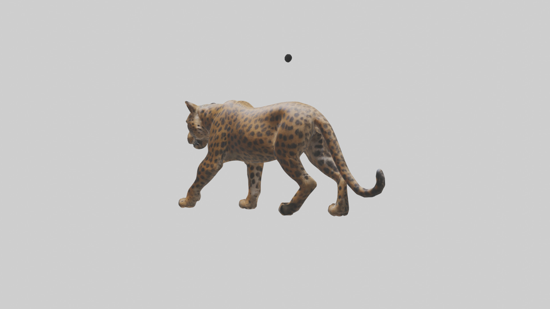 Indian Leopard stalking model Low-poly 3D model_2