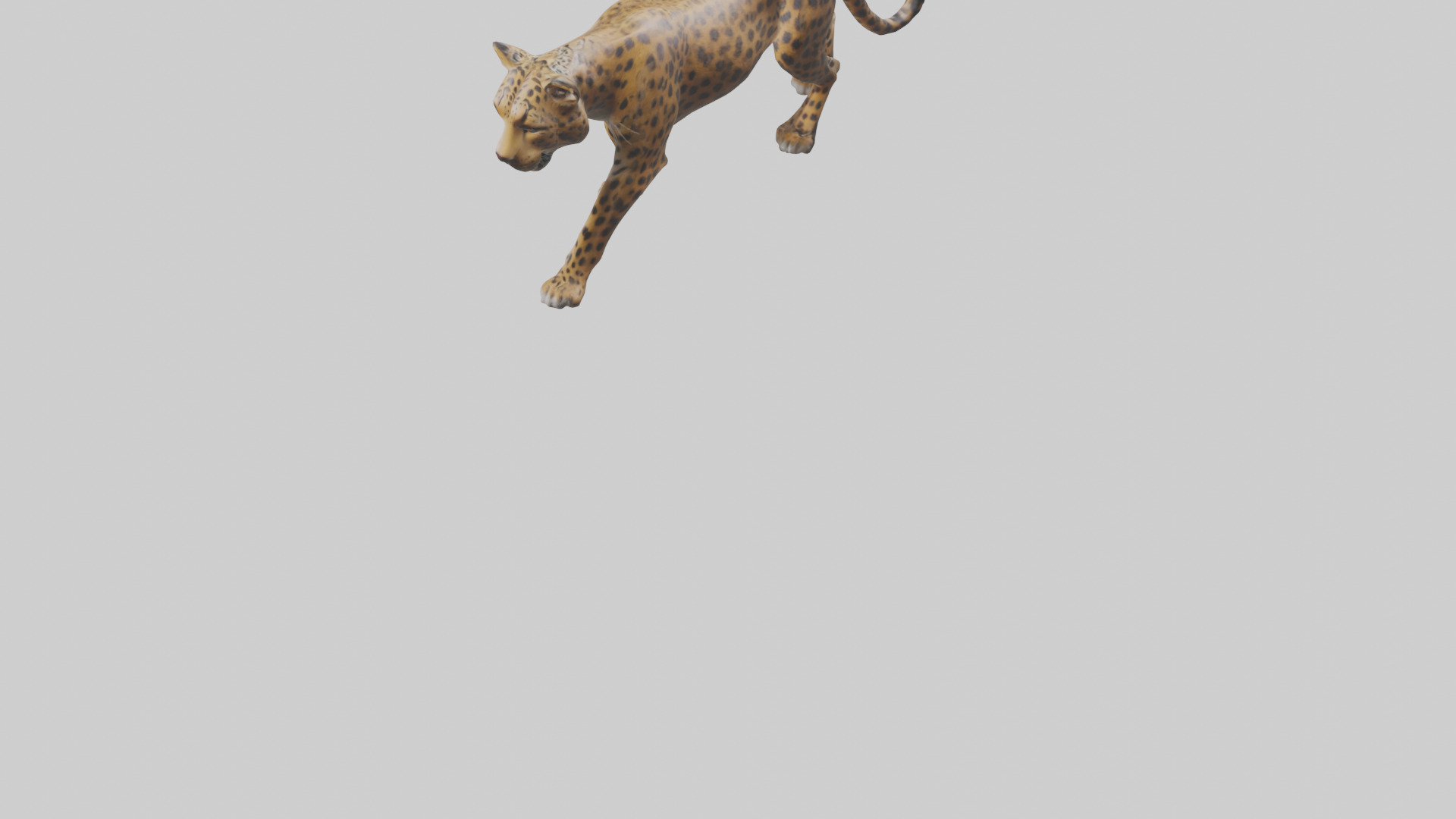 Indian Leopard stalking model Low-poly 3D model_6