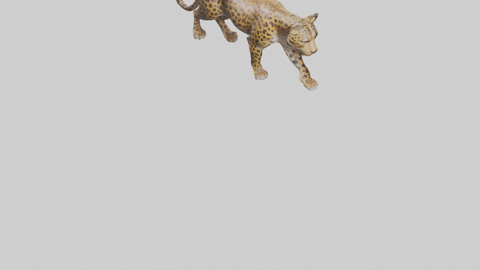 Indian Leopard stalking model Low-poly 3D model_7