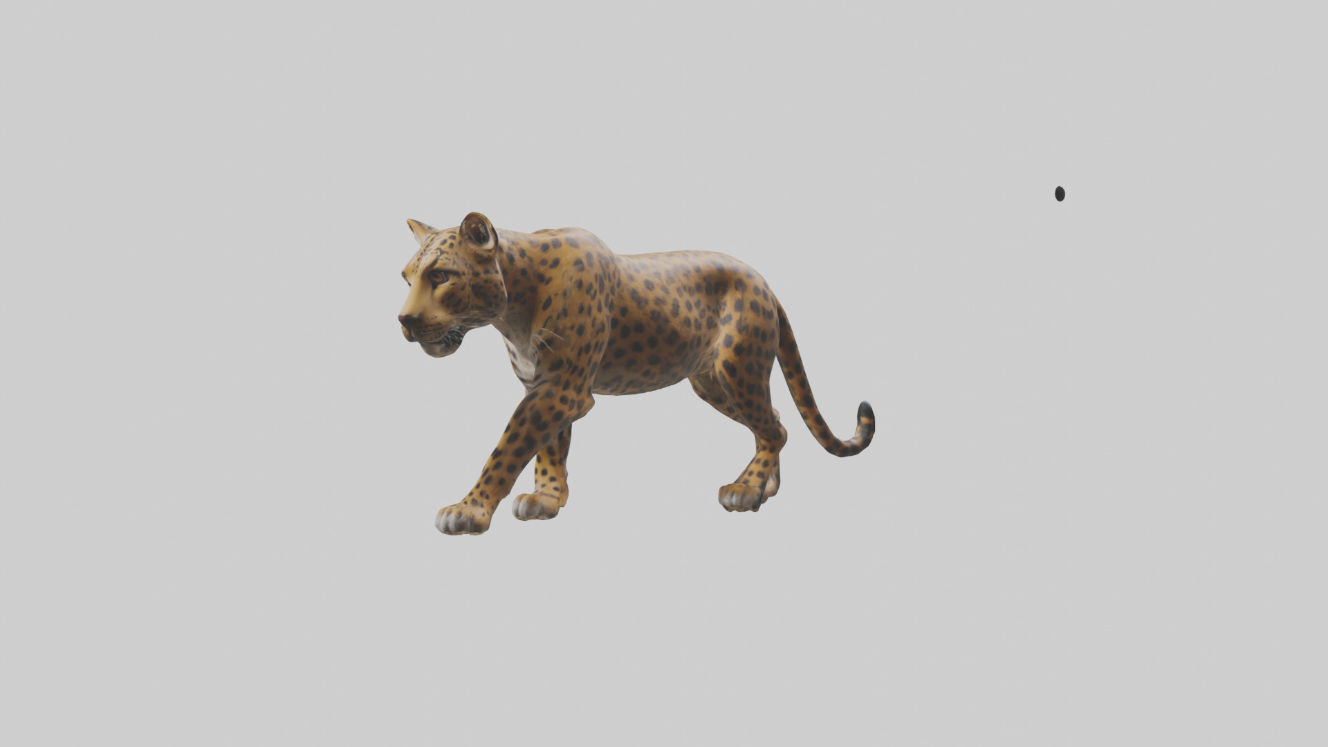 Indian Leopard stalking model Low-poly 3D model_10
