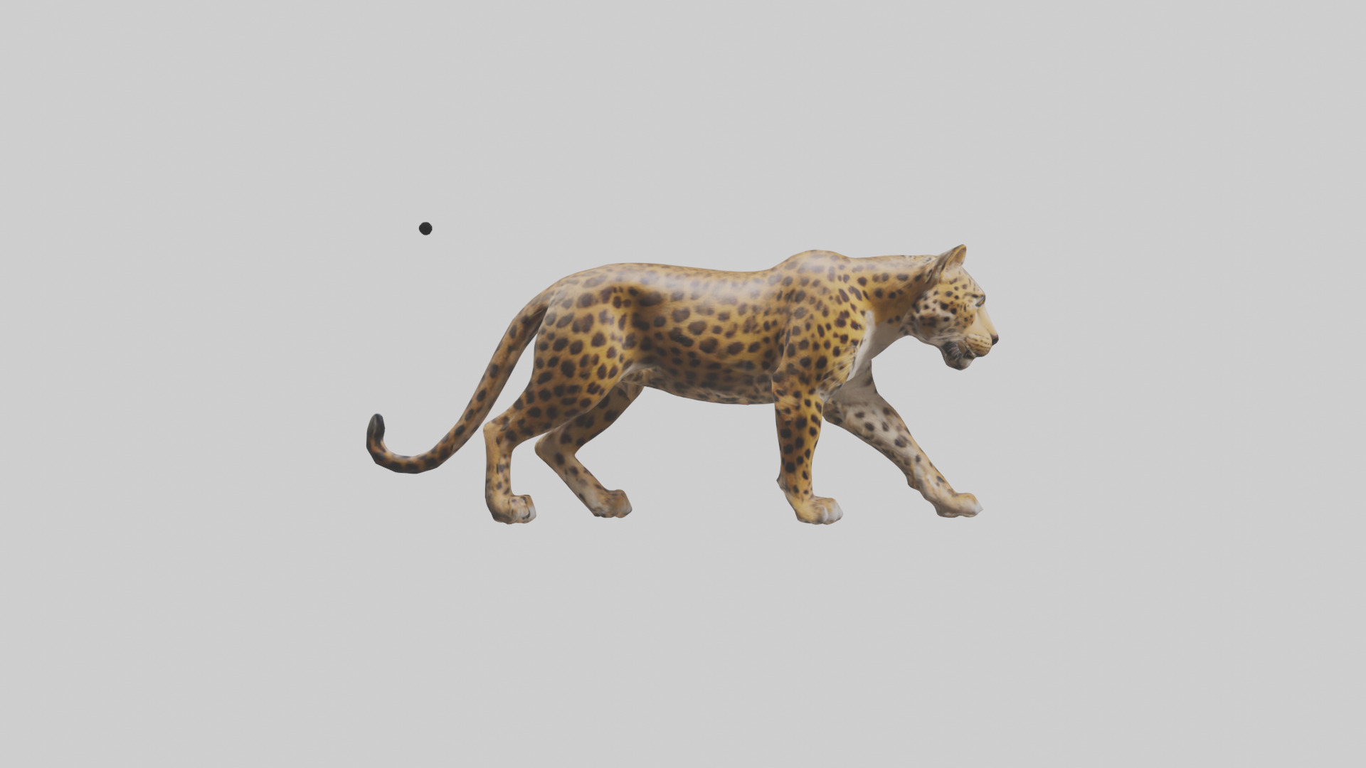 Indian Leopard stalking model Low-poly 3D model_13