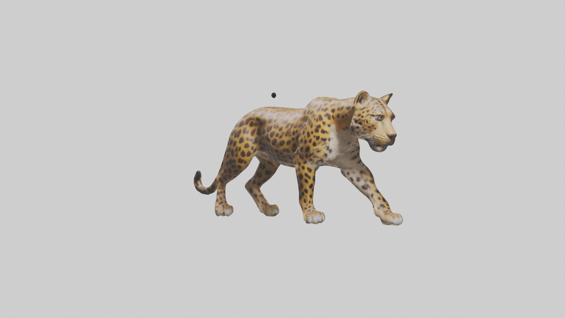 Indian Leopard stalking model Low-poly 3D model_11