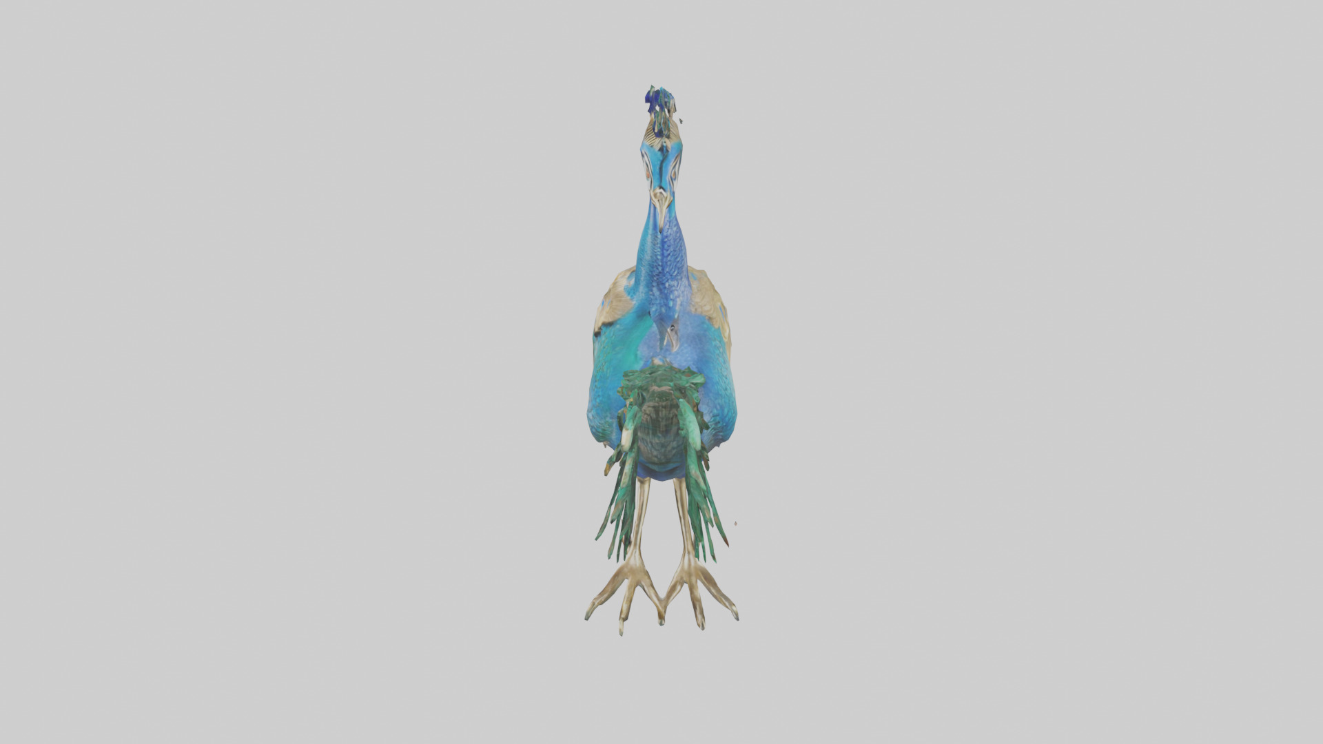 Indian Peafowl statue model Low-poly 3D model_17