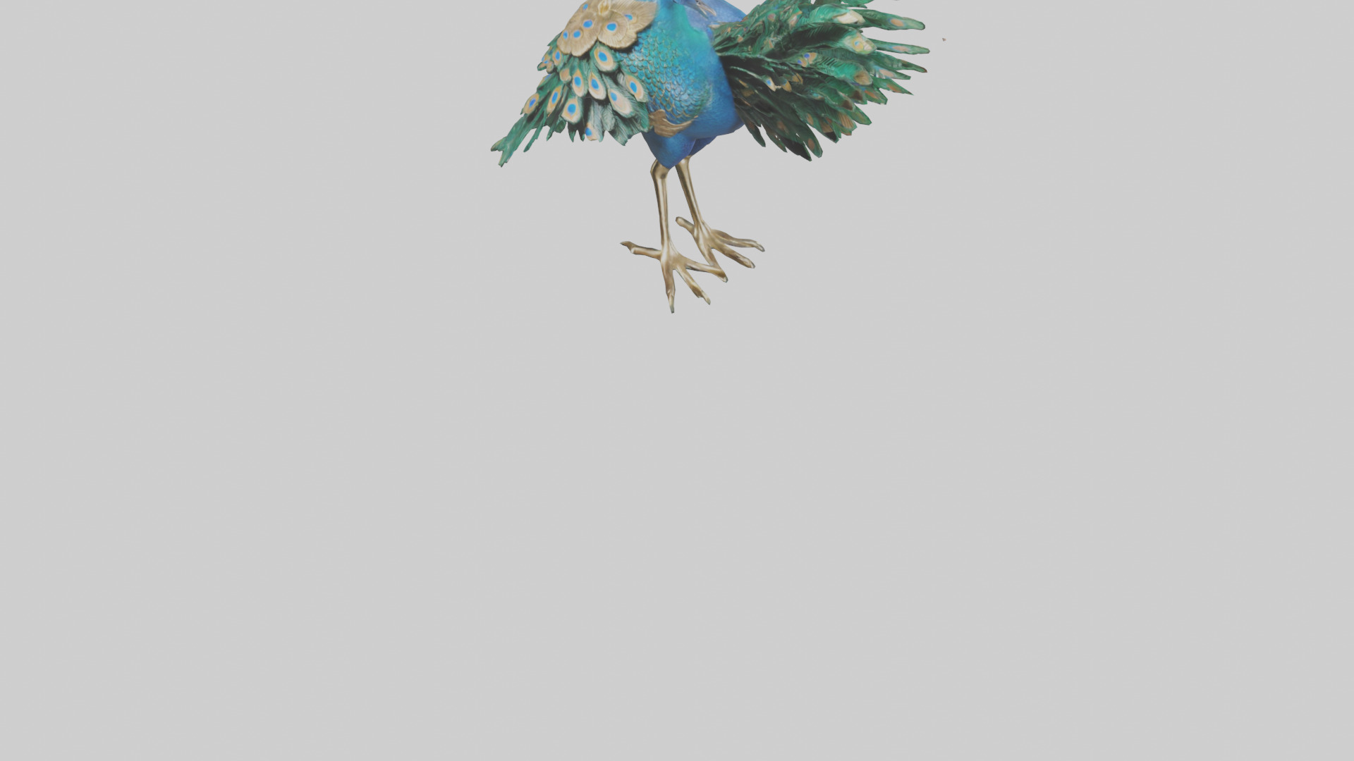 Indian Peafowl statue model Low-poly 3D model_5