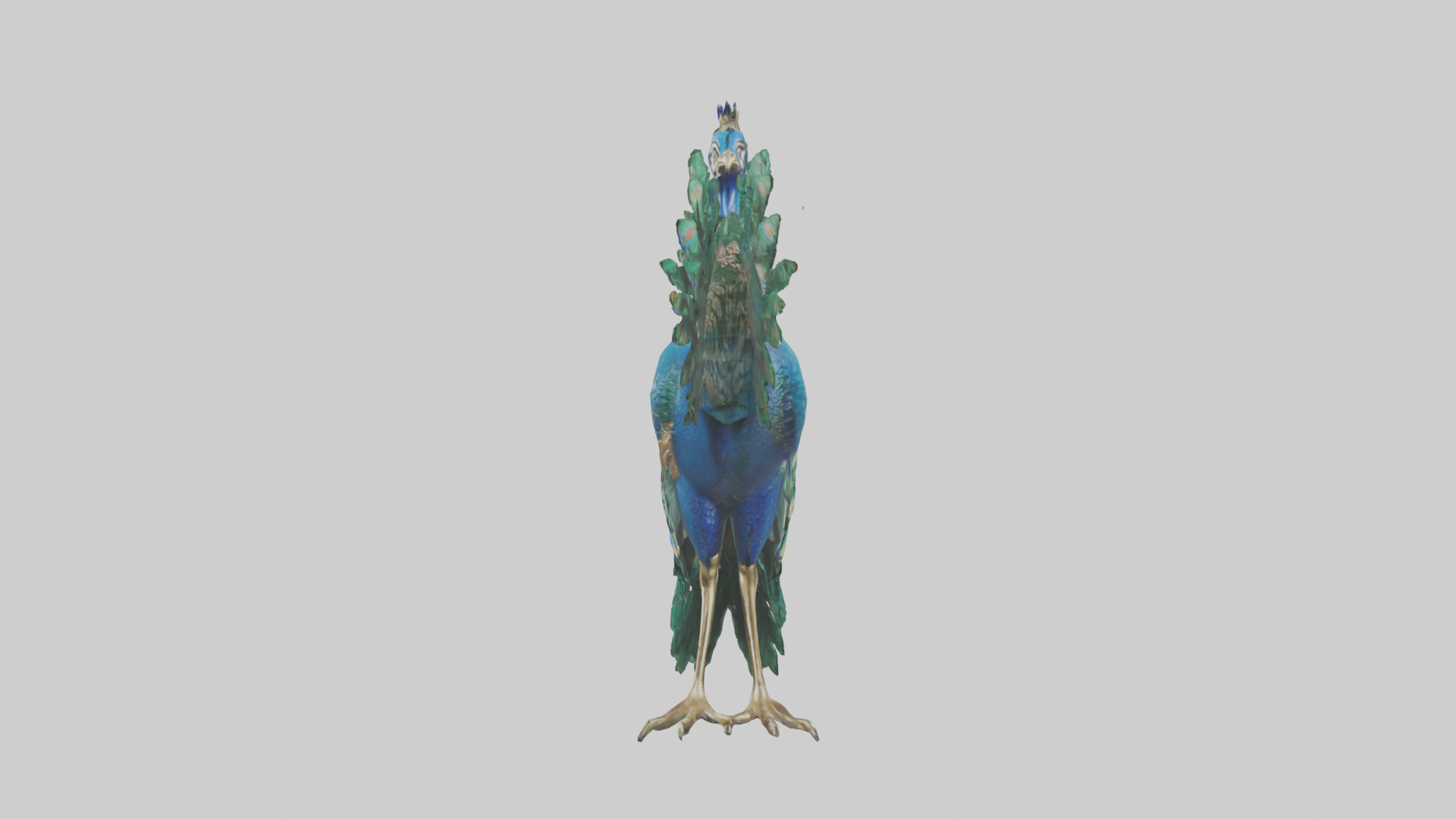Indian Peafowl statue model Low-poly 3D model_12