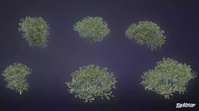 FOLIAGE - Bush 01 - NANITE